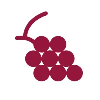 Wino: Identify & Explore Wines